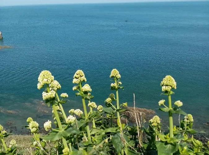 La Maison De Juliette Pensionat Granville